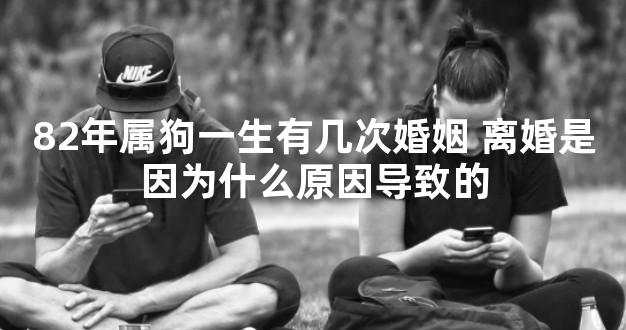 82年属狗一生有几次婚姻 离婚是因为什么原因导致的
